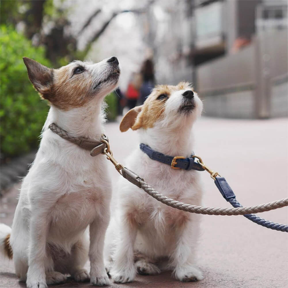 Hand-Woven Faux Leather Puppy Collar and Leash Dog Walking Set