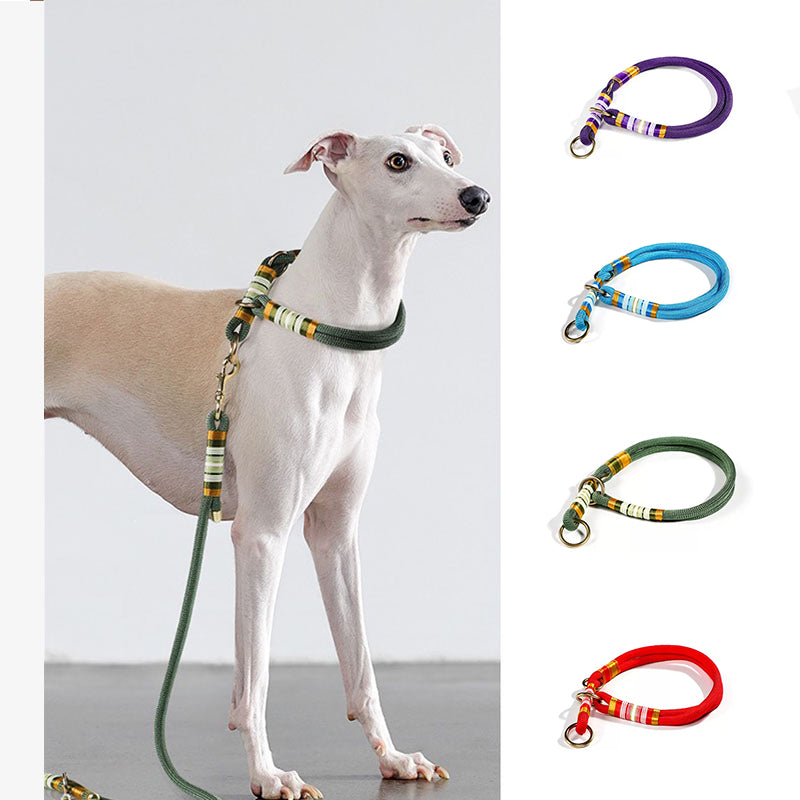 Corde tressée tricotée à la main, accessoires pour chiens Cool, collier d'entraînement sans traction