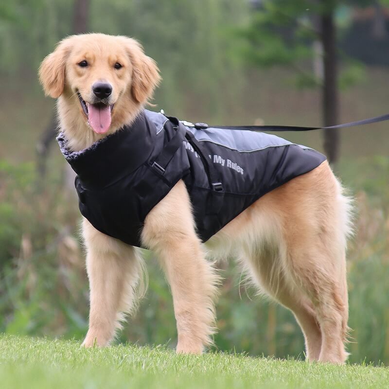 Warmer, cooler Hundezubehör-Jacke mit hohem Kragen, verdickter, cooler Hundezubehör-Baumwollmantel