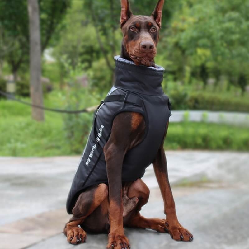 Chaqueta de accesorios para perros frescos y cálidos con cuello alto, abrigo de algodón grueso y fresco para accesorios para perros