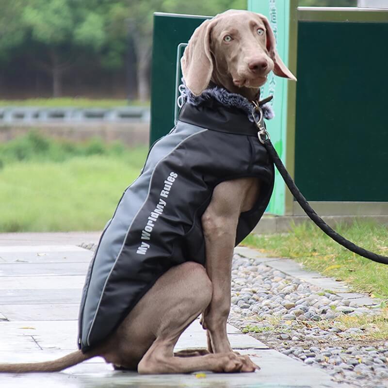 Warmer, cooler Hundezubehör-Jacke mit hohem Kragen, verdickter, cooler Hundezubehör-Baumwollmantel