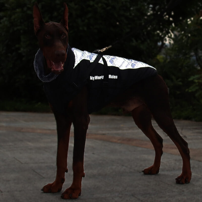 Chaqueta de accesorios para perros frescos y cálidos con cuello alto, abrigo de algodón grueso y fresco para accesorios para perros