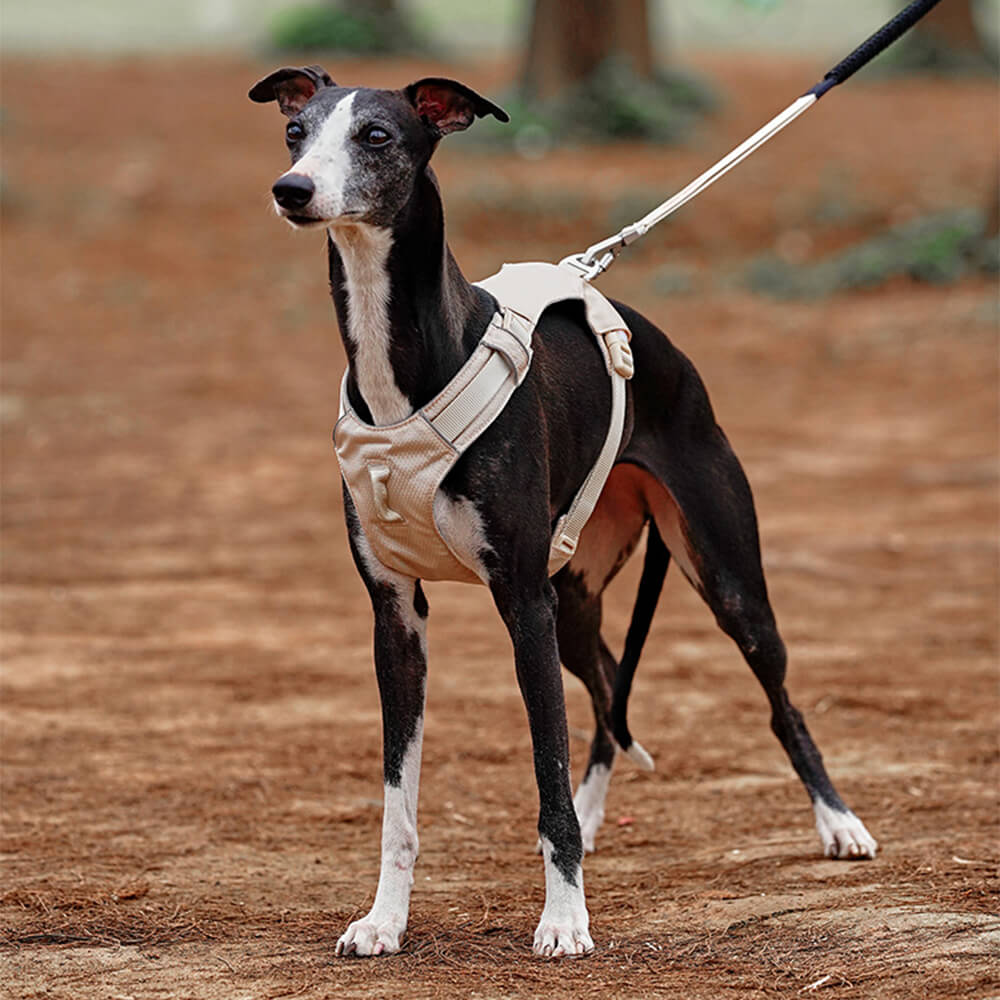 Arnés para perros ligero, impermeable, transpirable, antitirones y correa multifuncional