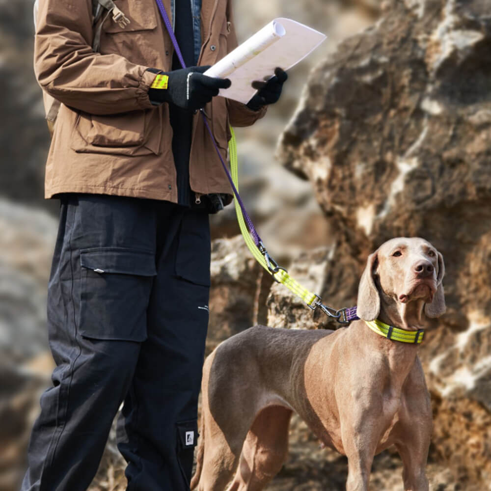 Laisse pour chien réglable à double extrémité mains libres multifonction