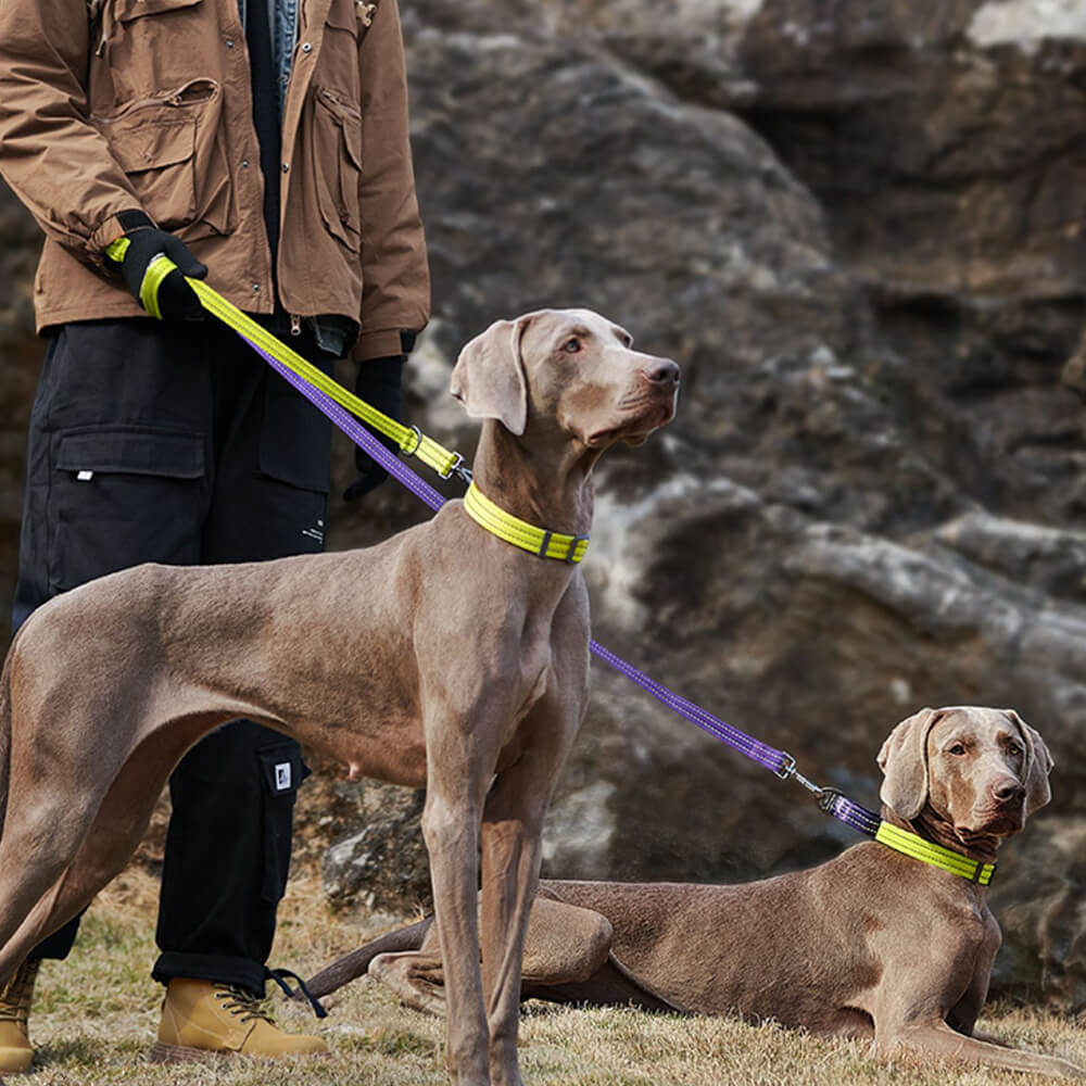 Laisse pour chien réglable à double extrémité mains libres multifonction