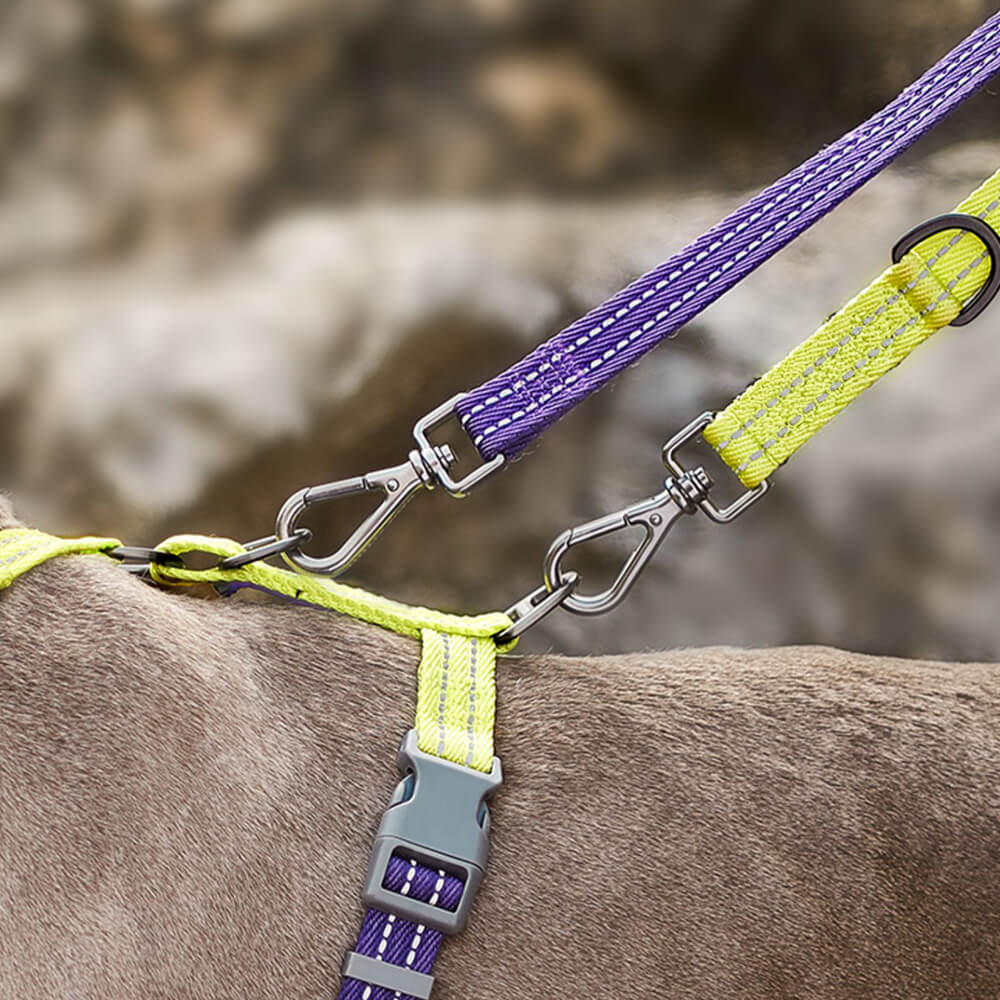 Laisse pour chien réglable à double extrémité mains libres multifonction