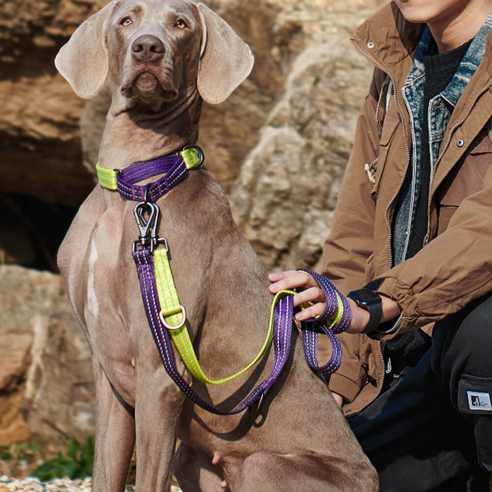 Laisse pour chien réglable à double extrémité mains libres multifonction