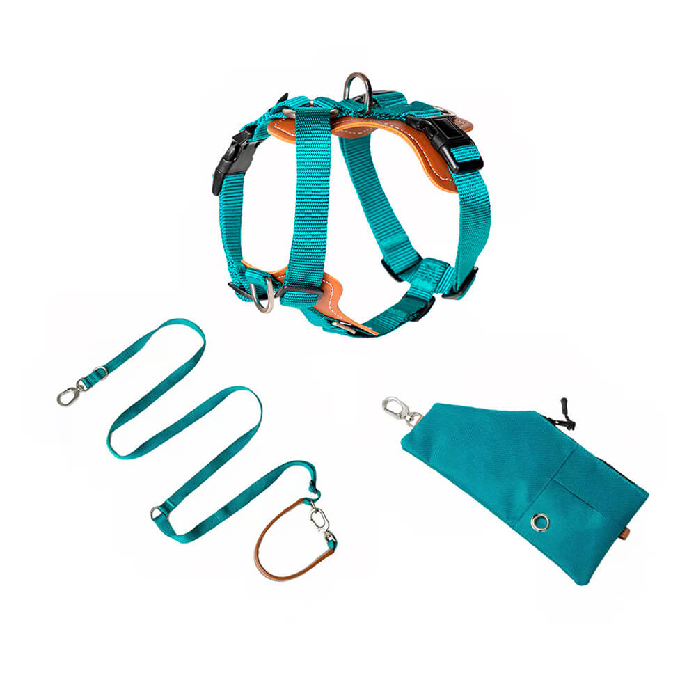 Ensemble de harnais de marche anti-traction mains libres multifonctionnel pour chien avec sac de rangement