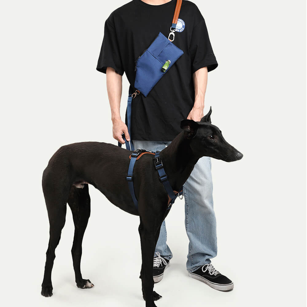 Ensemble de harnais de marche anti-traction mains libres multifonctionnel pour chien avec sac de rangement