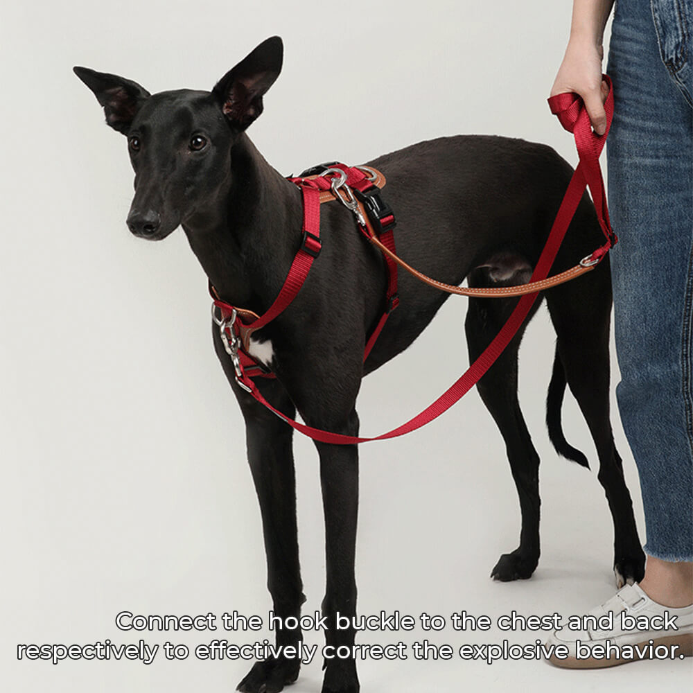 Multifunctional Hands-Free Anti-Pull Dog Walking Harness Set with Storage Bag