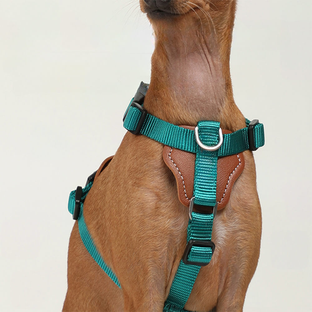 Ensemble de harnais de marche anti-traction mains libres multifonctionnel pour chien avec sac de rangement