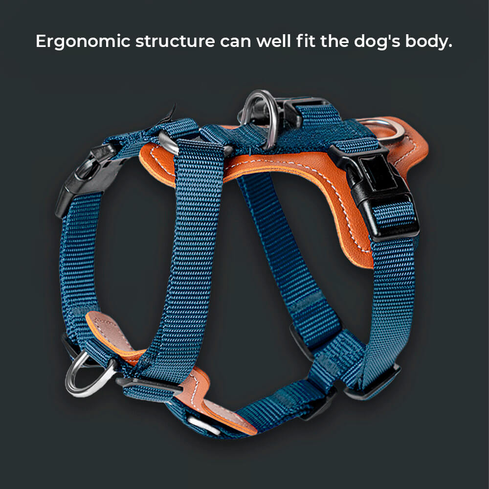 Ensemble de harnais de marche anti-traction mains libres multifonctionnel pour chien avec sac de rangement