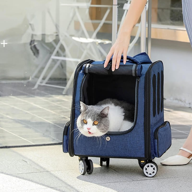 Sac à dos de voyage pliable polyvalent pour chat, boîtier de chariot pour animaux de compagnie