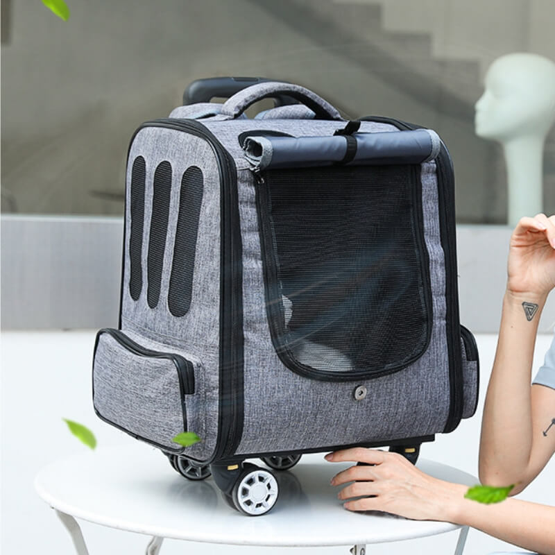 Sac à dos de voyage pliable polyvalent pour chat, boîtier de chariot pour animaux de compagnie