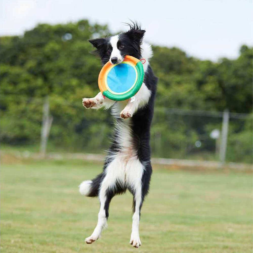 Frisbee de chien de tissu d'Oxford durable de jouet interactif extérieur de chien