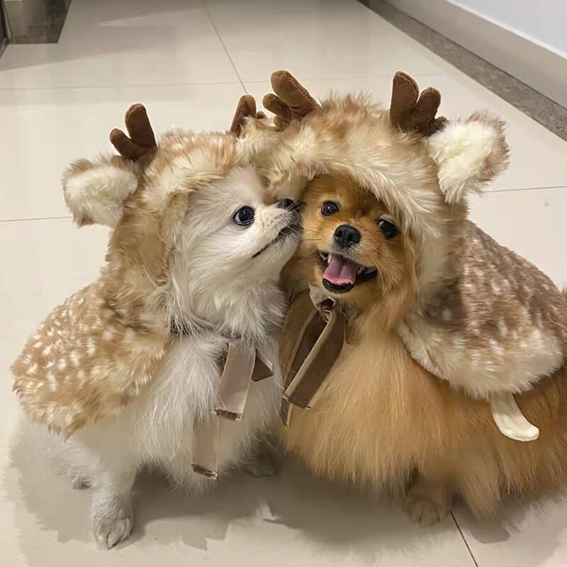 Vêtements pour animaux de compagnie Cape d'élan en peluche Costumes pour chiens et chats Cadeaux de luxe pour chiens