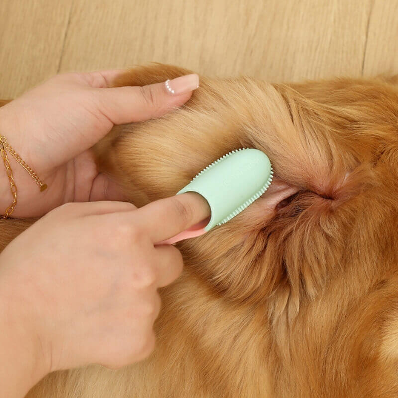 Brosse à dents pour animaux de compagnie, brosse à dents pour le nettoyage des dents