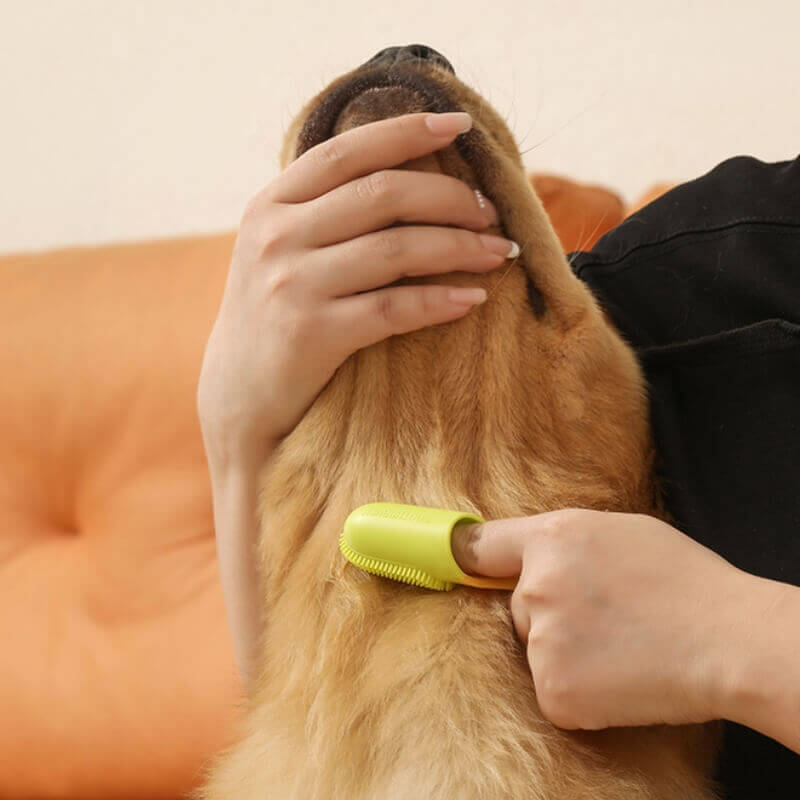 Cepillo de dientes para mascotas Cepillo de dientes para limpieza de dientes