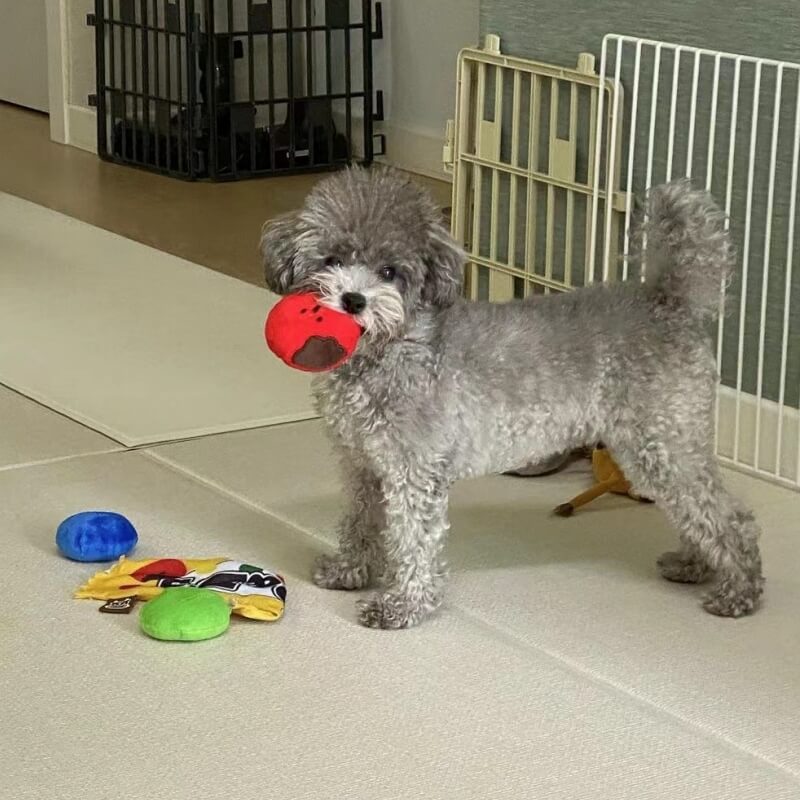 Juguetes de peluche Juguetes de comida tibetana Juguetes para perros