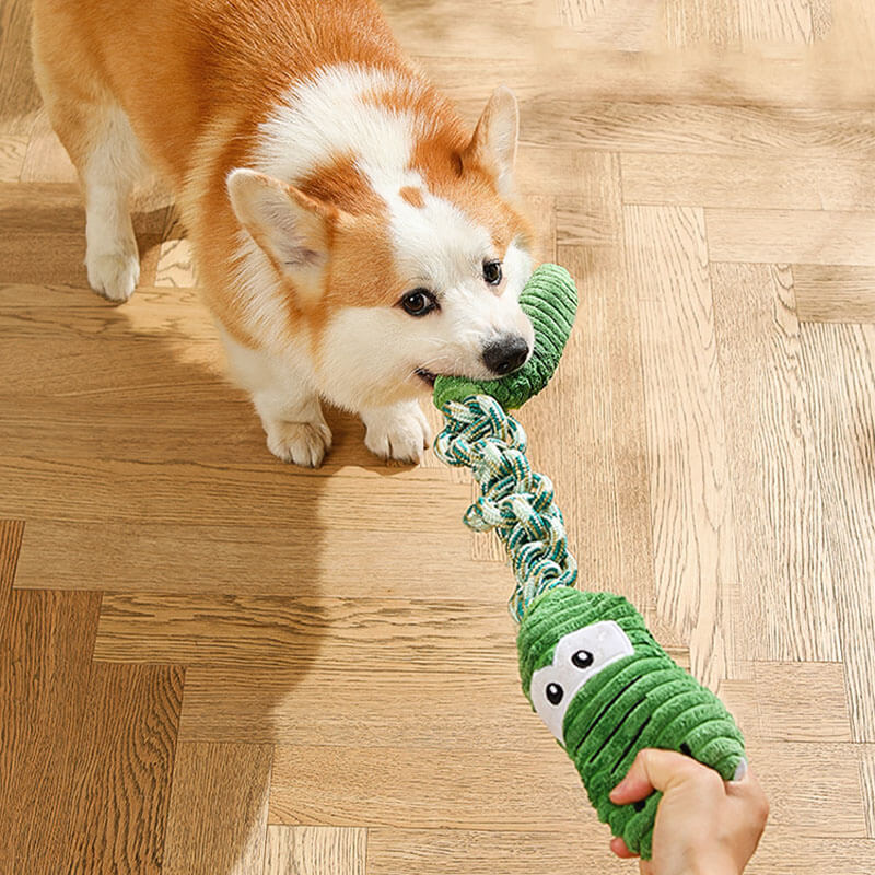 Jouet interactif pour chien qui couine en corde - Série Animaux