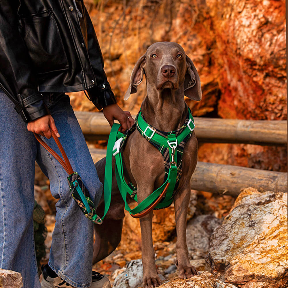 Secure Anti-Pull Large Dog Harness and Leash Walking Set with Walk Bag