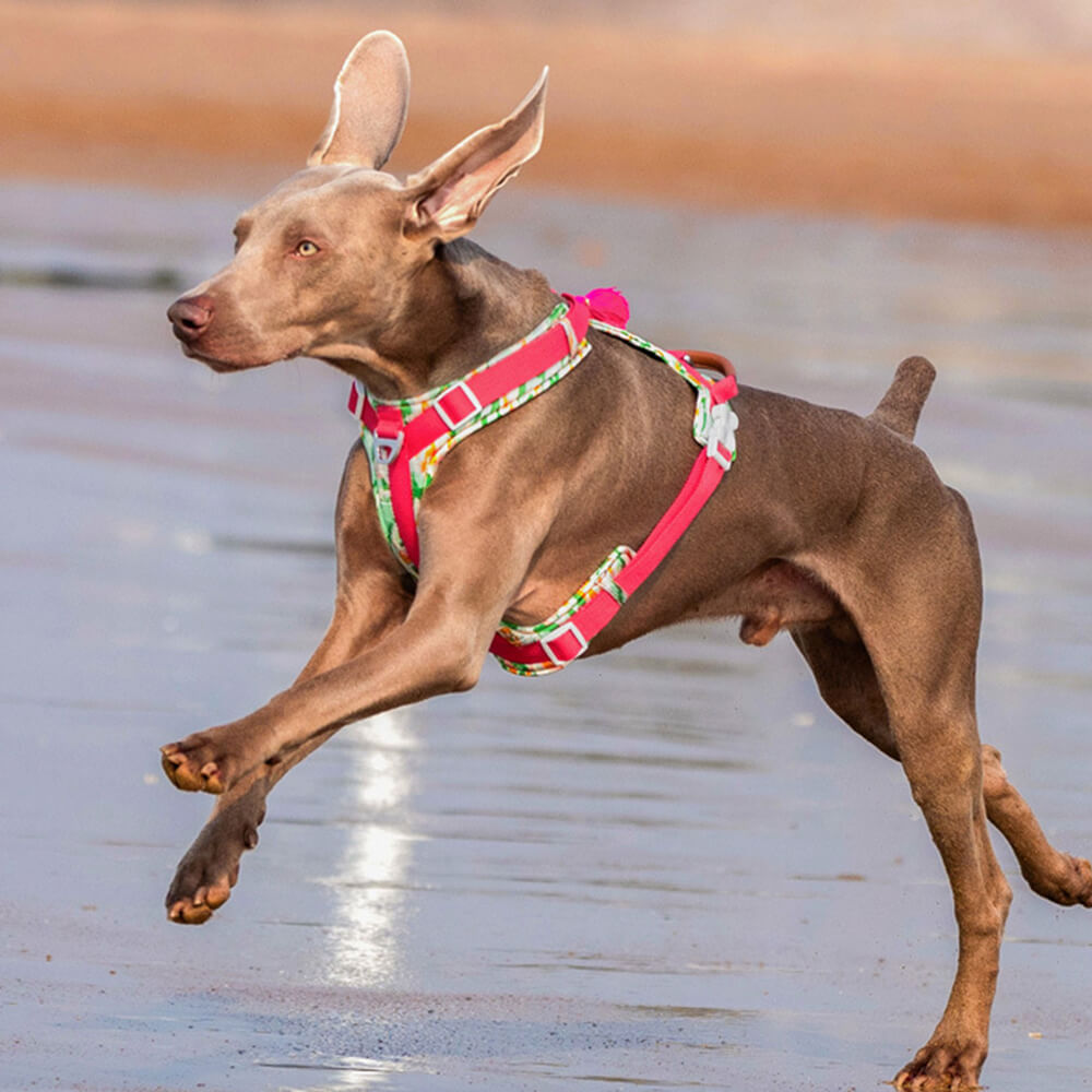 Juego seguro para caminar con arnés y correa para perros grandes, antitirones, con bolsa para caminar