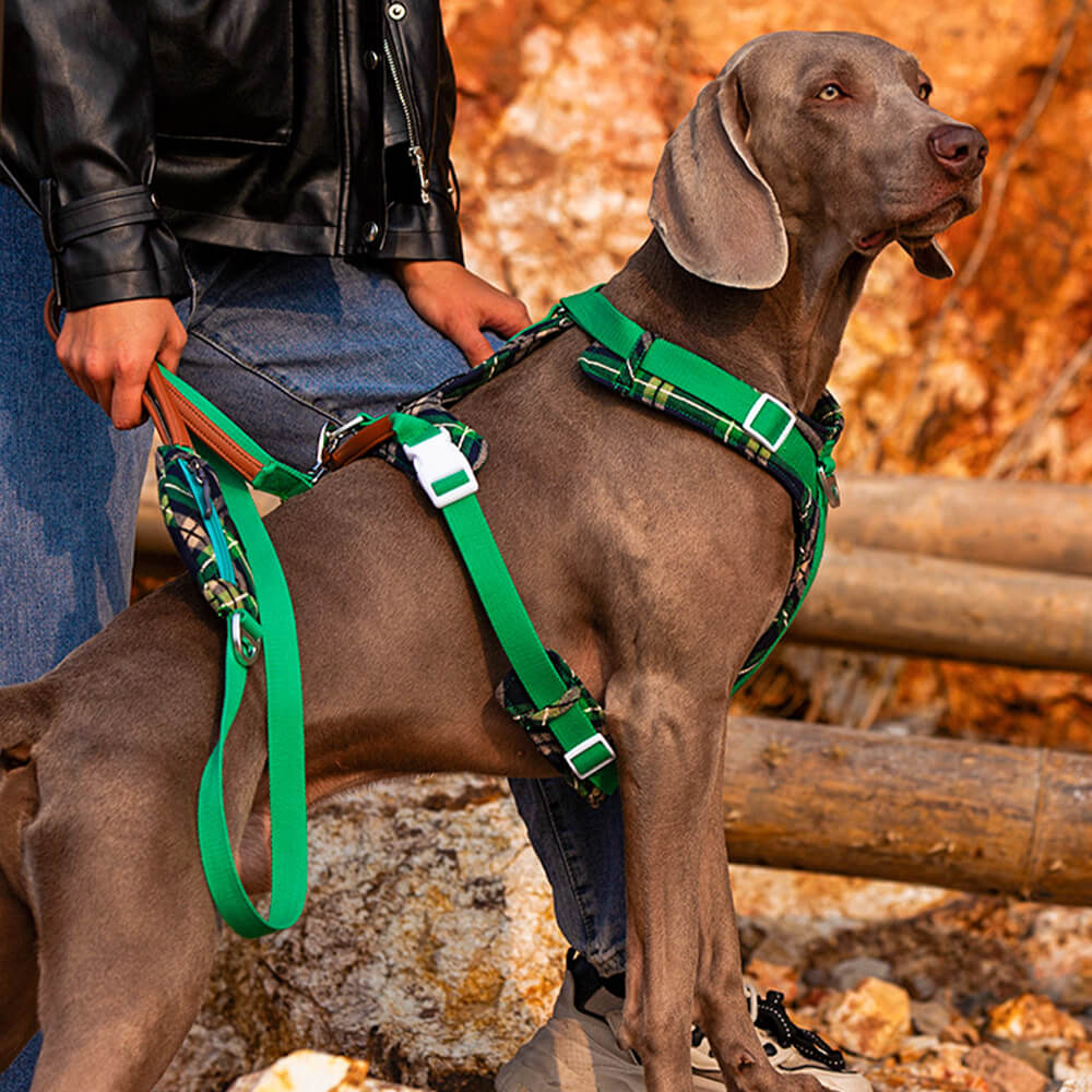 Juego seguro para caminar con arnés y correa para perros grandes, antitirones, con bolsa para caminar