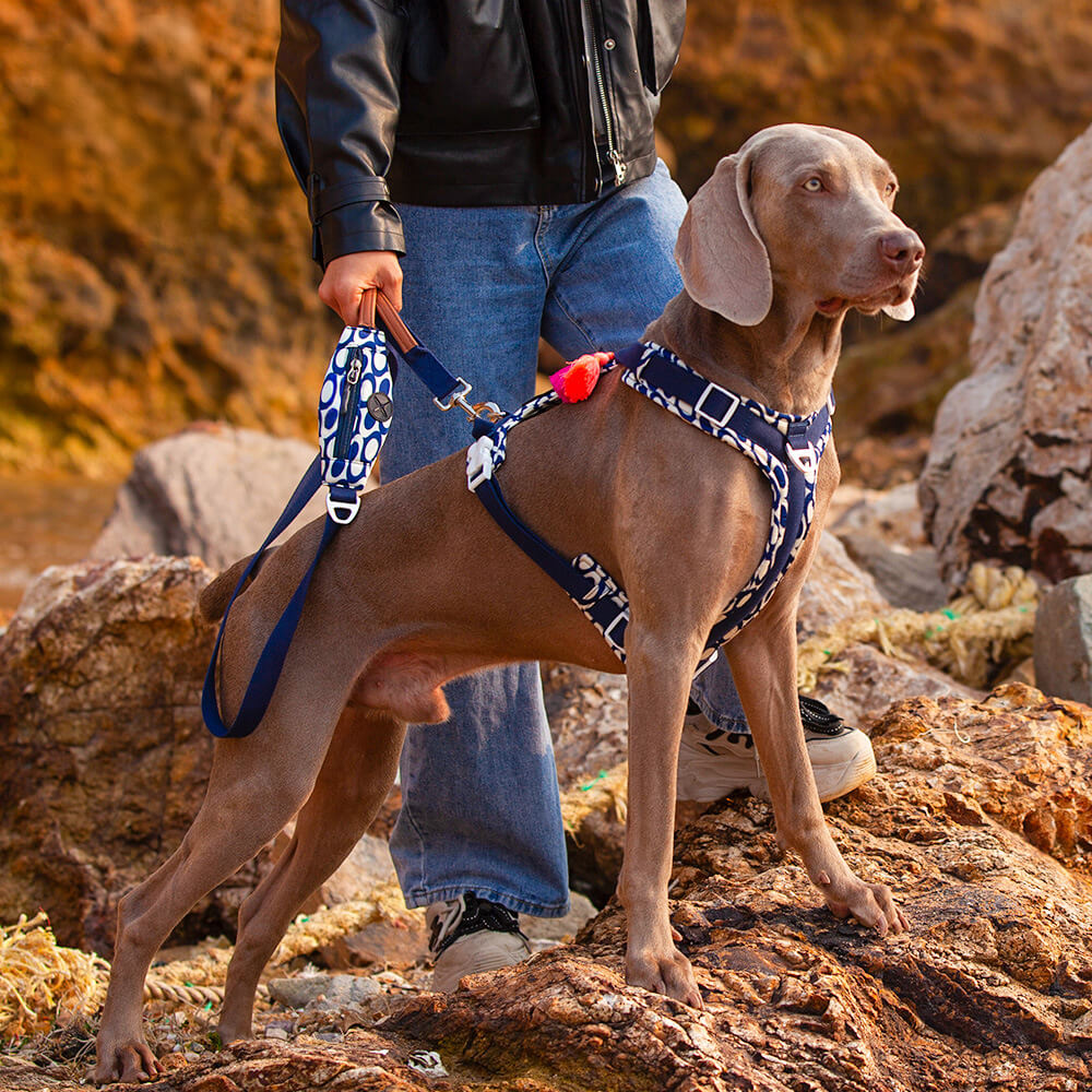 Ensemble de marche avec harnais et laisse pour grand chien, anti-traction sécurisé, avec sac de promenade