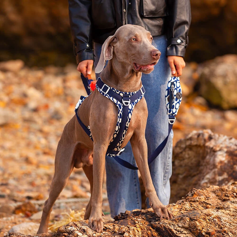 Juego seguro para caminar con arnés y correa para perros grandes, antitirones, con bolsa para caminar