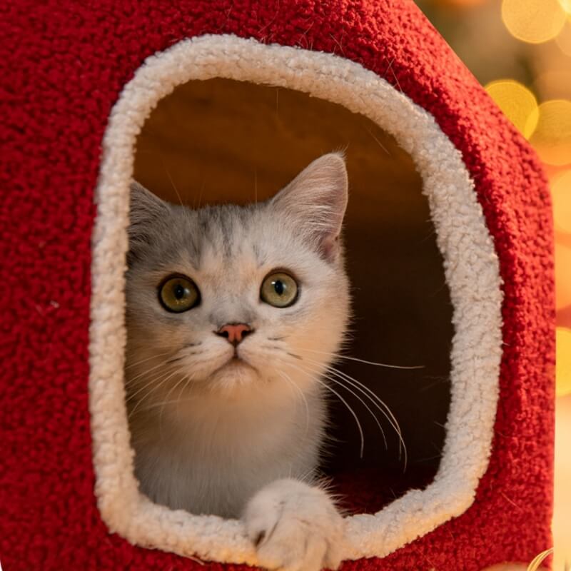 Snowy House Cat Villa Chaleureuse Grotte pour Chats Semi-fermée