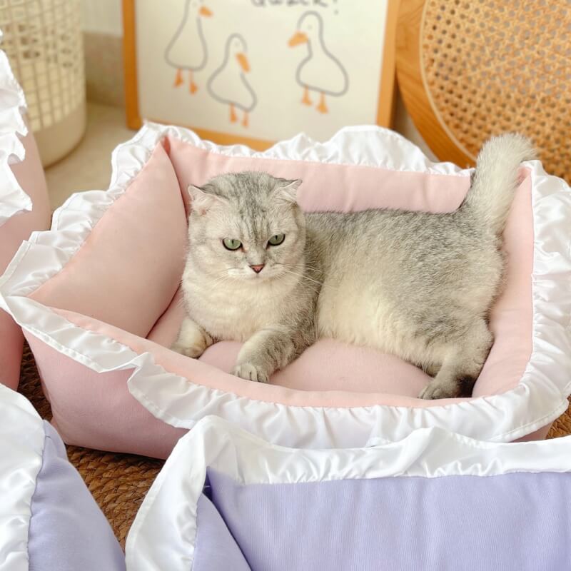 Soft Waxy Cute Pet Bed Integrated Dog & Cat Bed