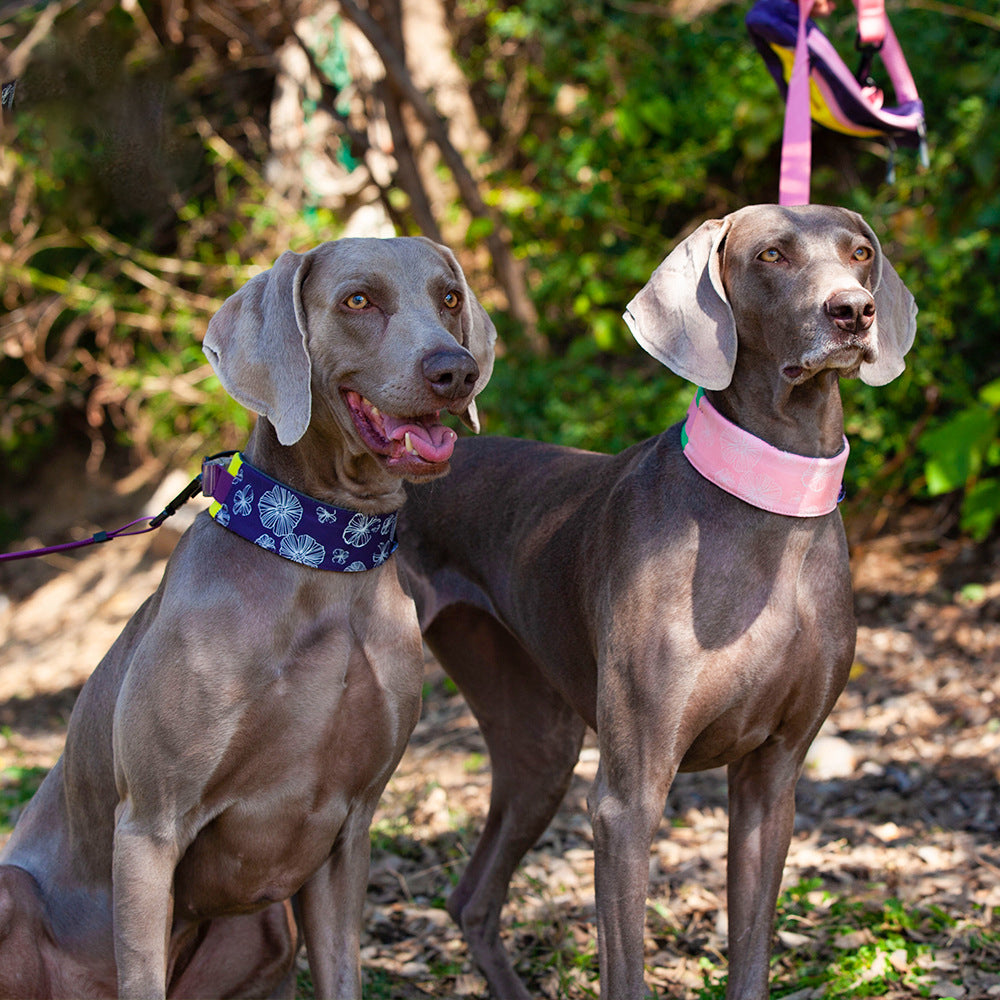 Collar de accesorios para perros, elegante, cómodo, sin tirones