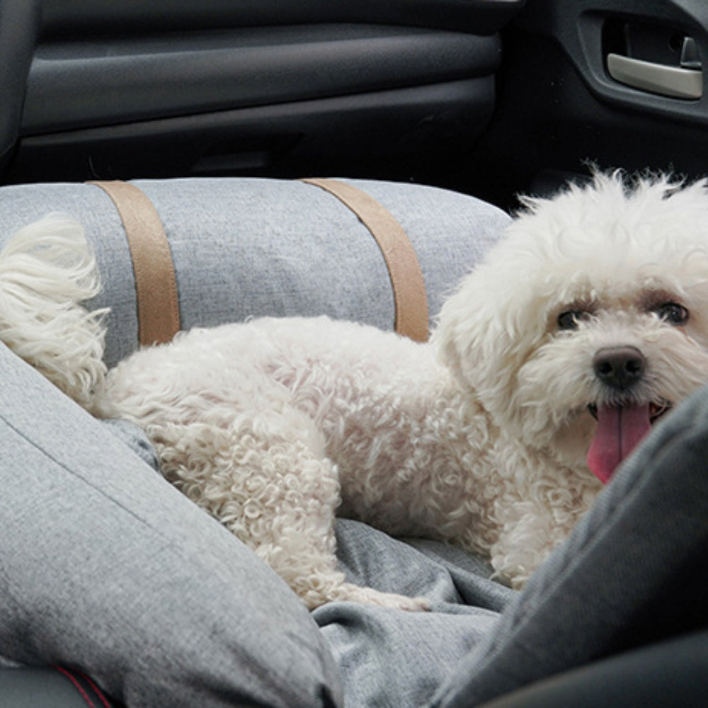 Soporte ortopédico multiusos para mascotas, asiento de seguridad para coche, asiento para coche para perros, cama