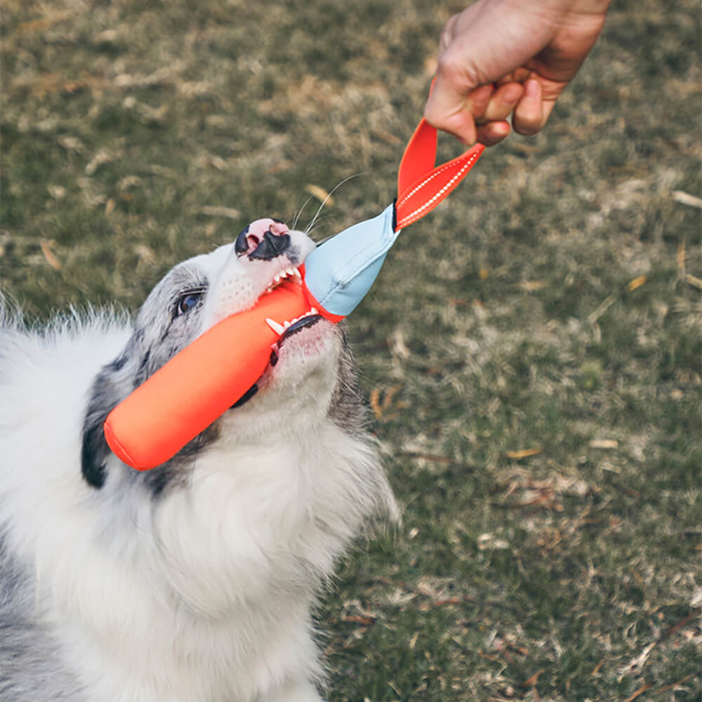 Juguete interactivo ultraduradero que flota en el agua para perros