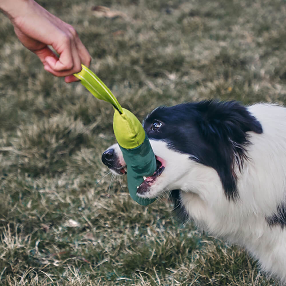 Ultra-Durable Interactive Toy Water Floating Dog Toy