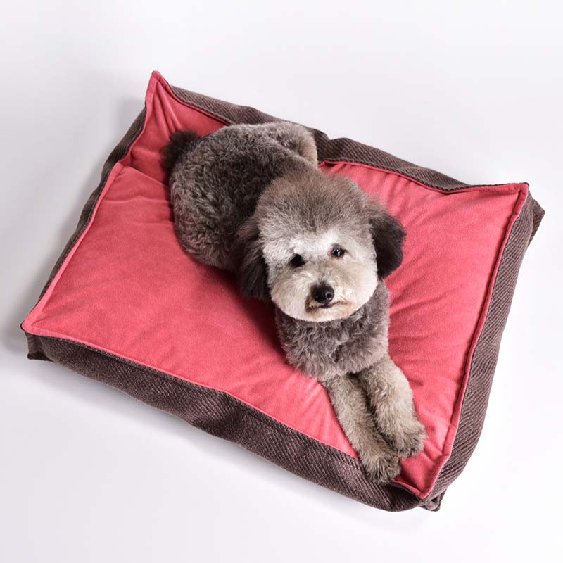 Vintage Clashing Colors Quadratisches Hundebett, Schlafmatte