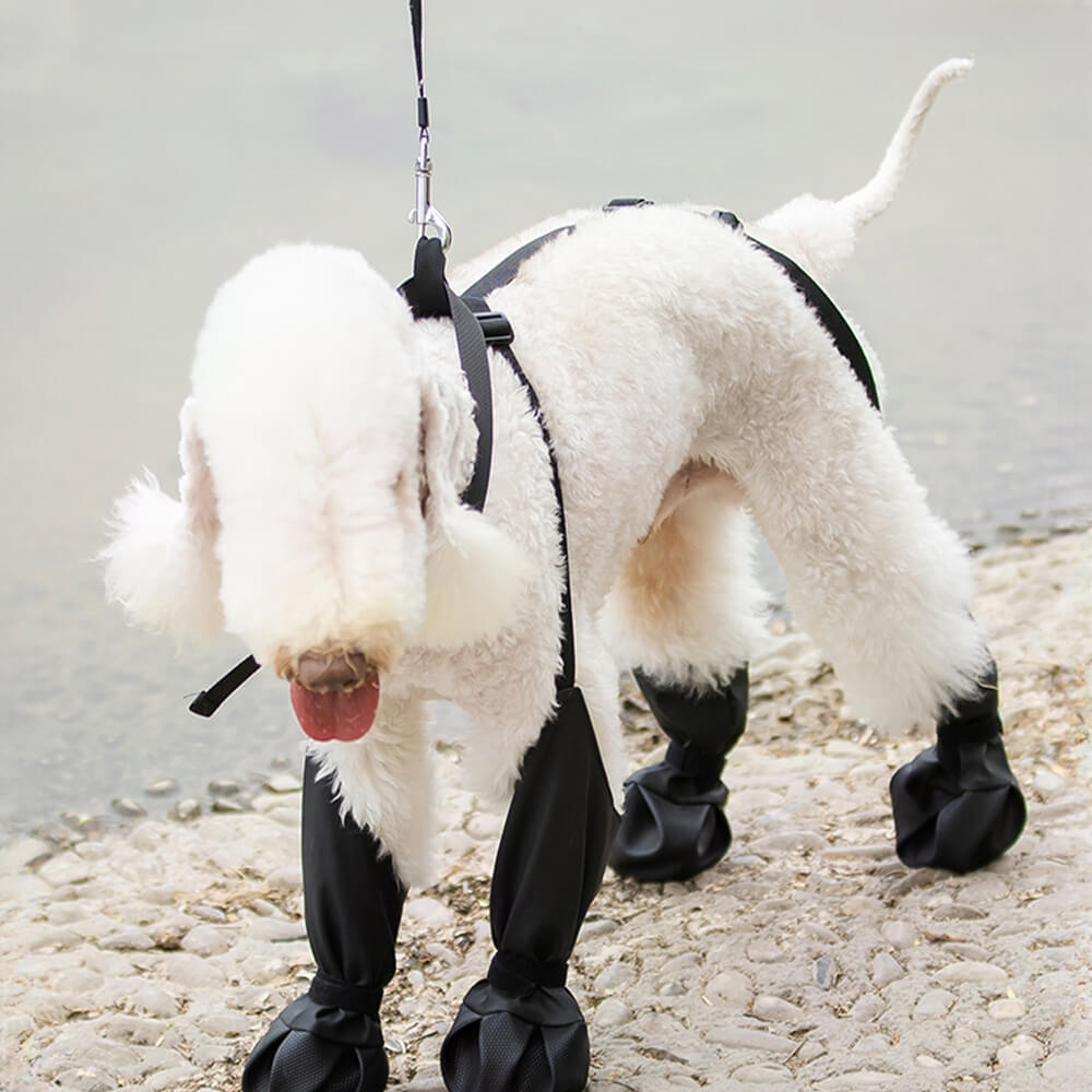 Wasserdichte, rutschfeste Stiefel-Leggings für Hunde – tragbar, langlebig und schmutzabweisend