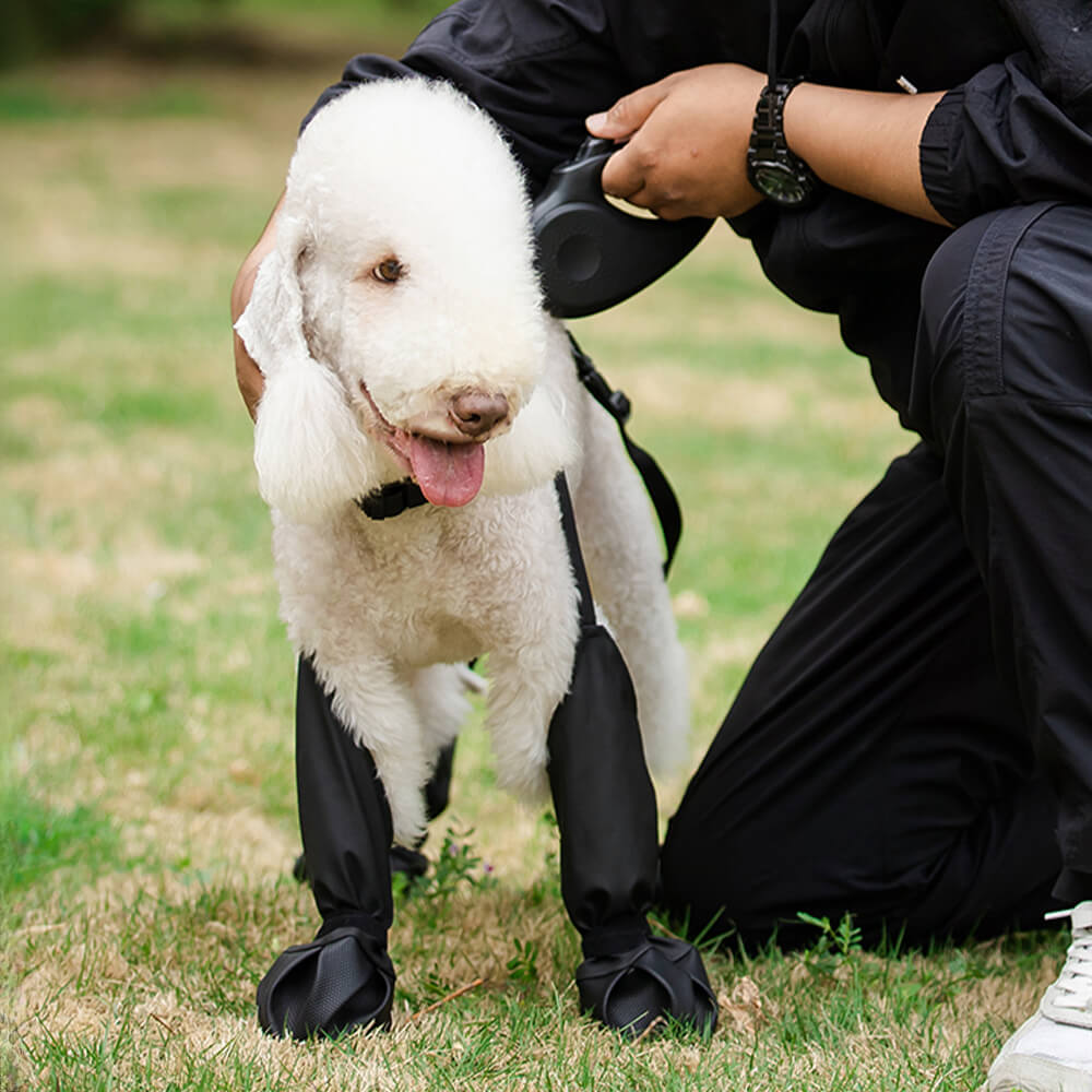 Leggings antideslizantes impermeables para botas de perro: portátiles, duraderos y resistentes a la suciedad