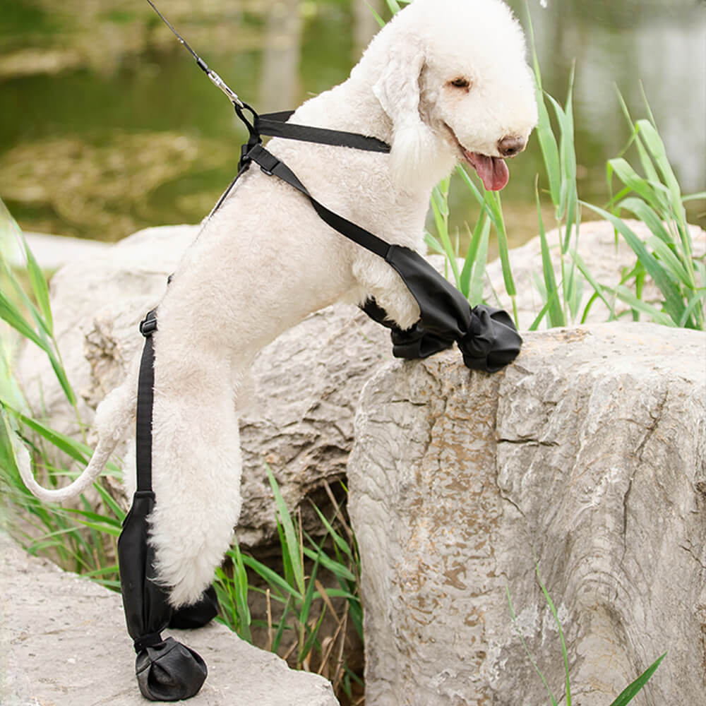 Waterproof Anti-Slip Dog Boot Leggings - Portable Durable and Dirt-proof