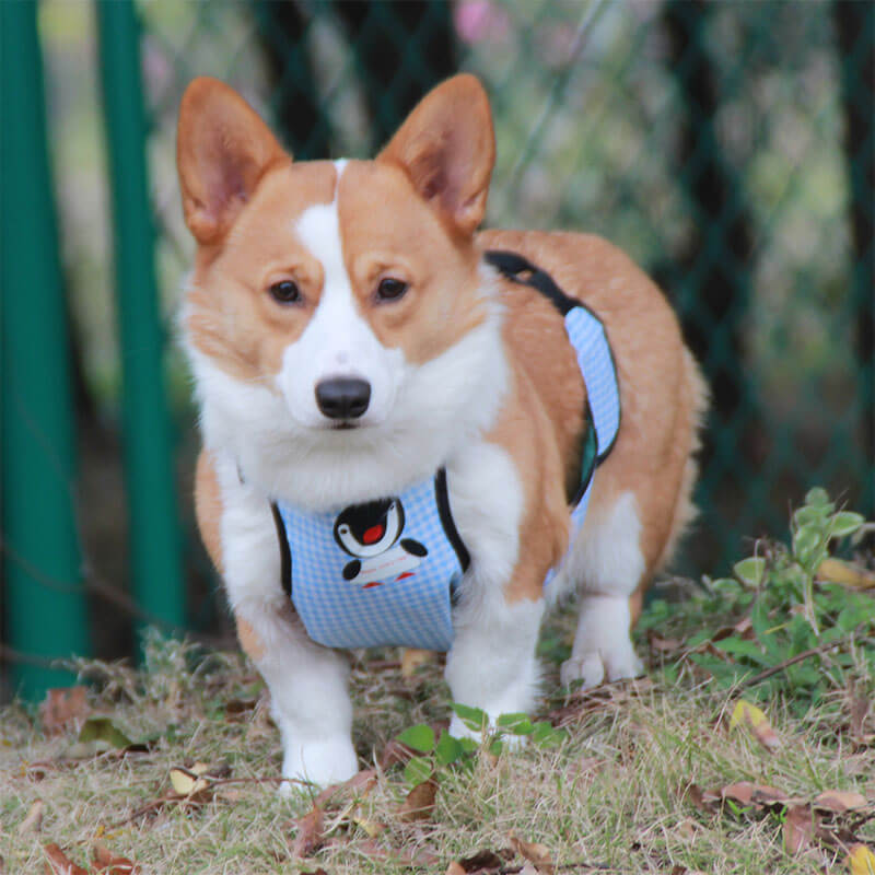 Bavoir imperméable à carreaux pour animaux de compagnie, couverture de ventre de chien