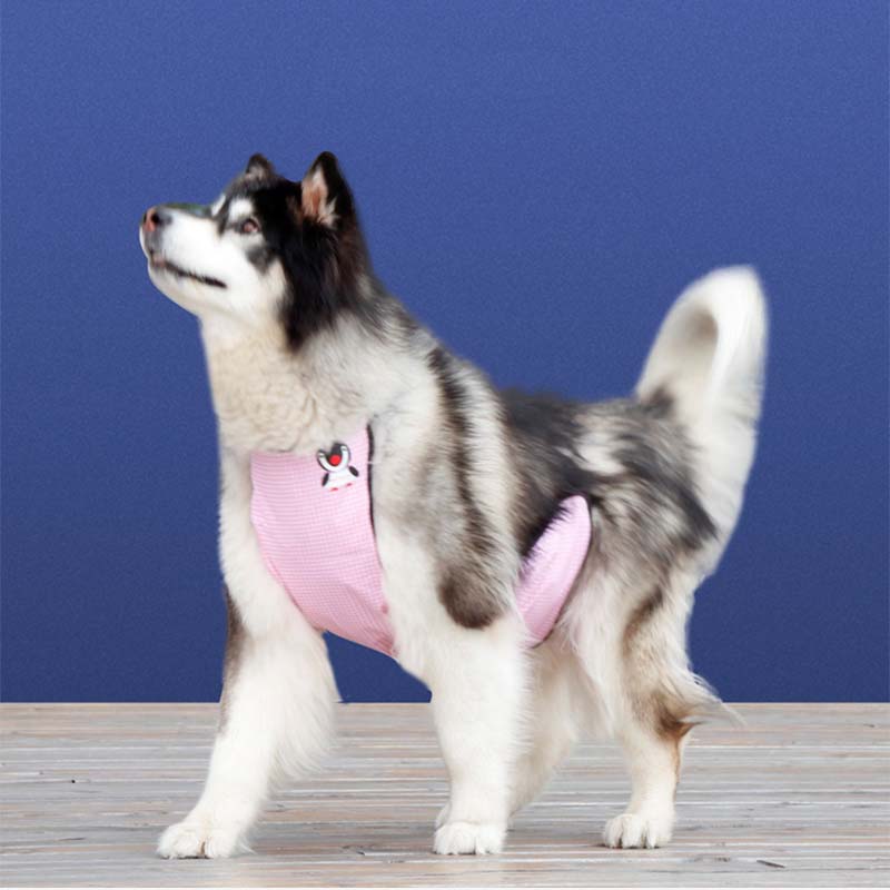 Bavoir imperméable à carreaux pour animaux de compagnie, couverture de ventre de chien