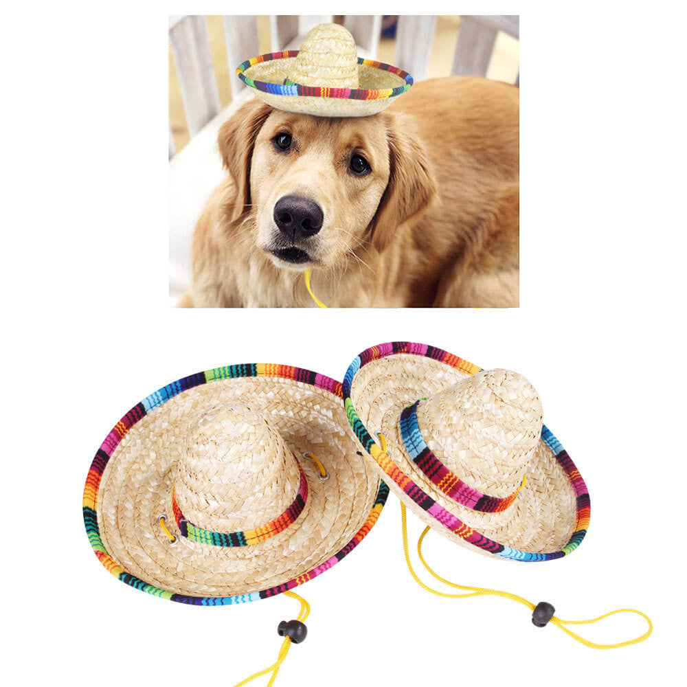 Set de disfraz de gato Fiesta - Sombrero y pañuelo para gatos y perros pequeños