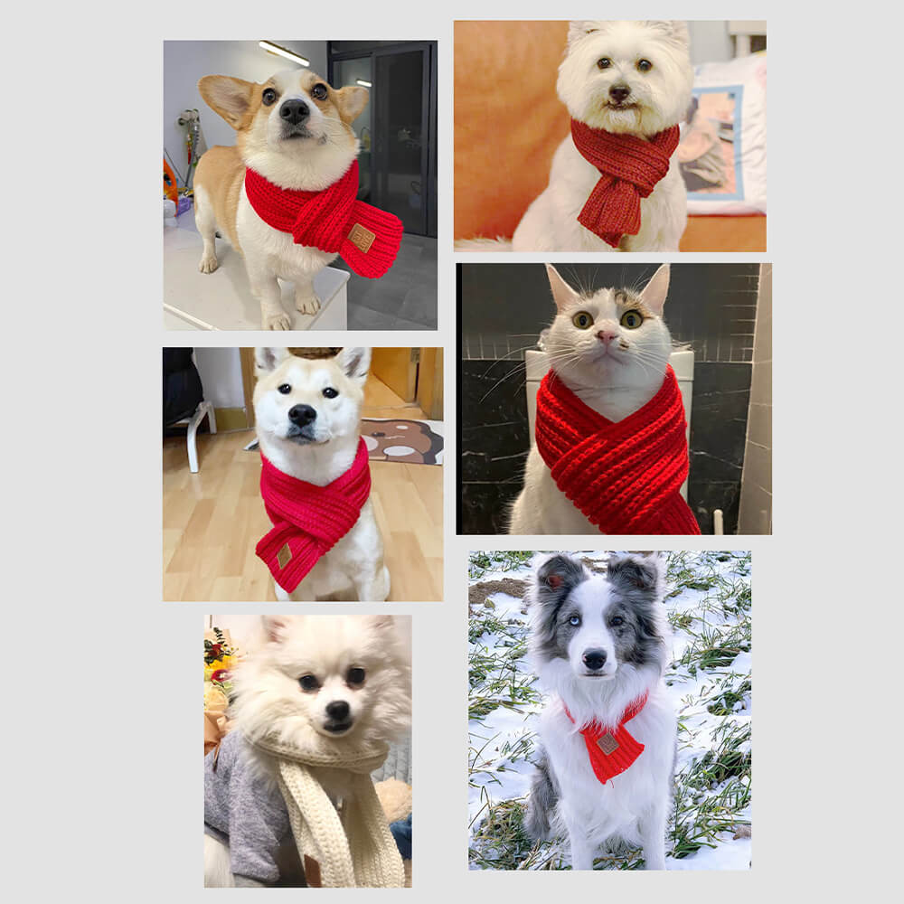 Knitted Dog Scarf - Soft and Warm Winter Accessory for Small Breeds