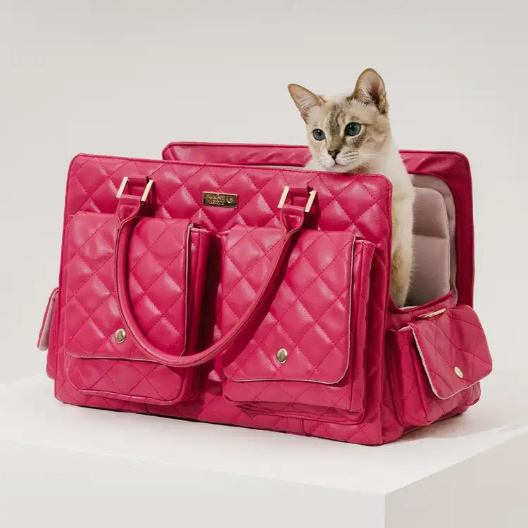 Borsa per animali da viaggio condivisa, grande, elegante, multifunzionale, per cani umani e cani - Coda errante