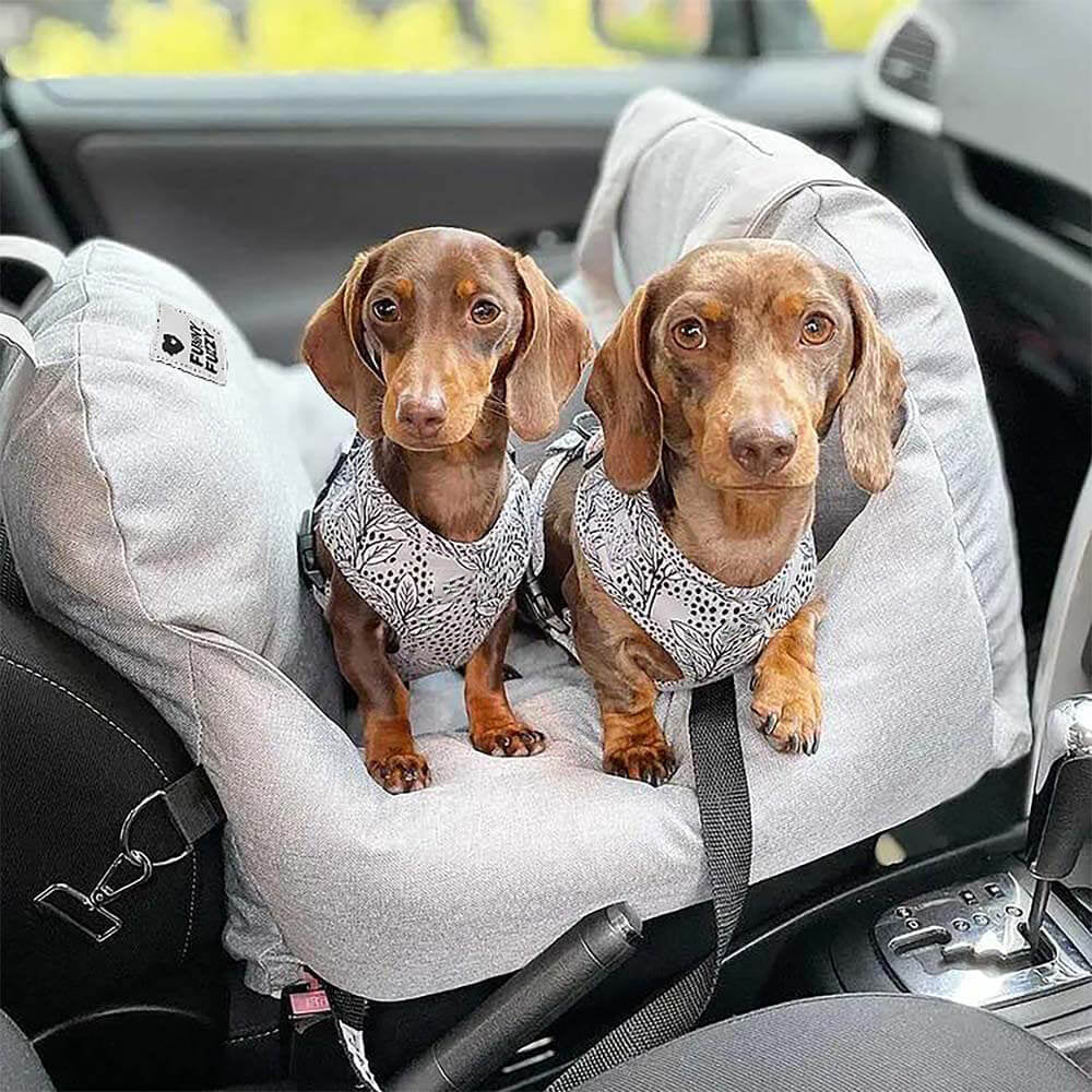 Letto per seggiolino auto per cani - Prima classe