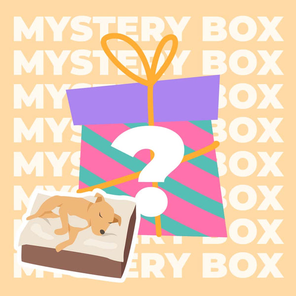 Kit da viaggio sicuro per cani entro 15 kg - $ 220 Value Mystery Box