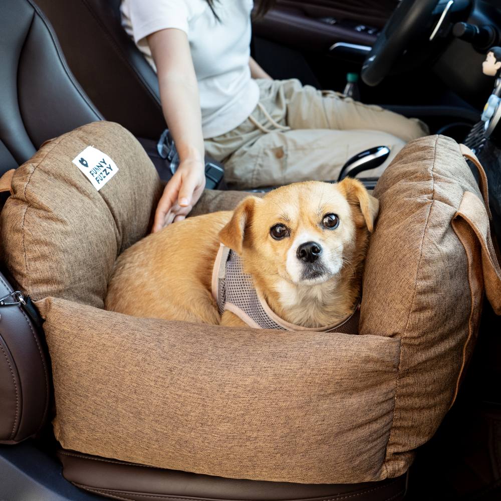 Letto per seggiolino auto per cani - Prima classe