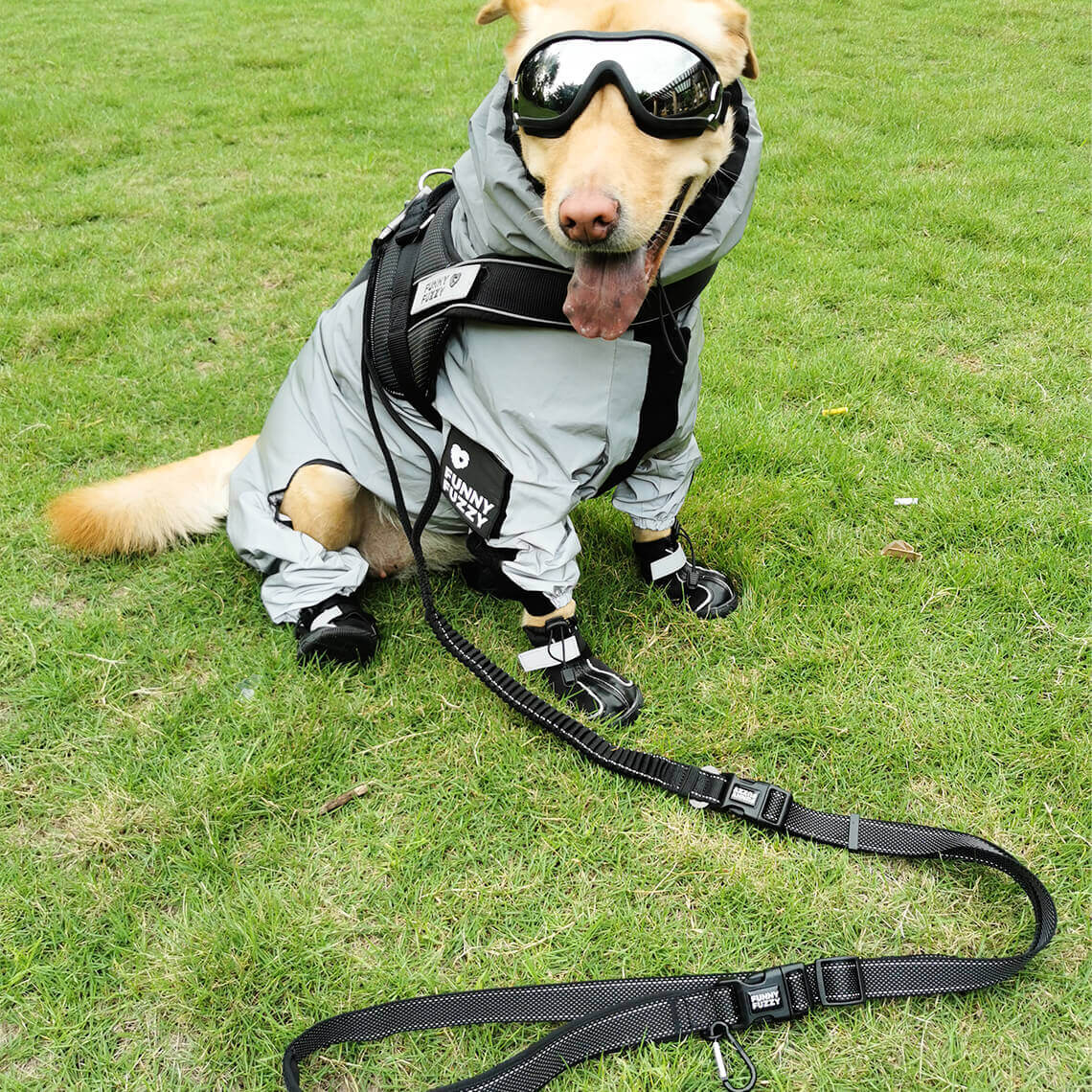 Chubasquero reflectante impermeable para todo tipo de clima, accesorios para perros geniales