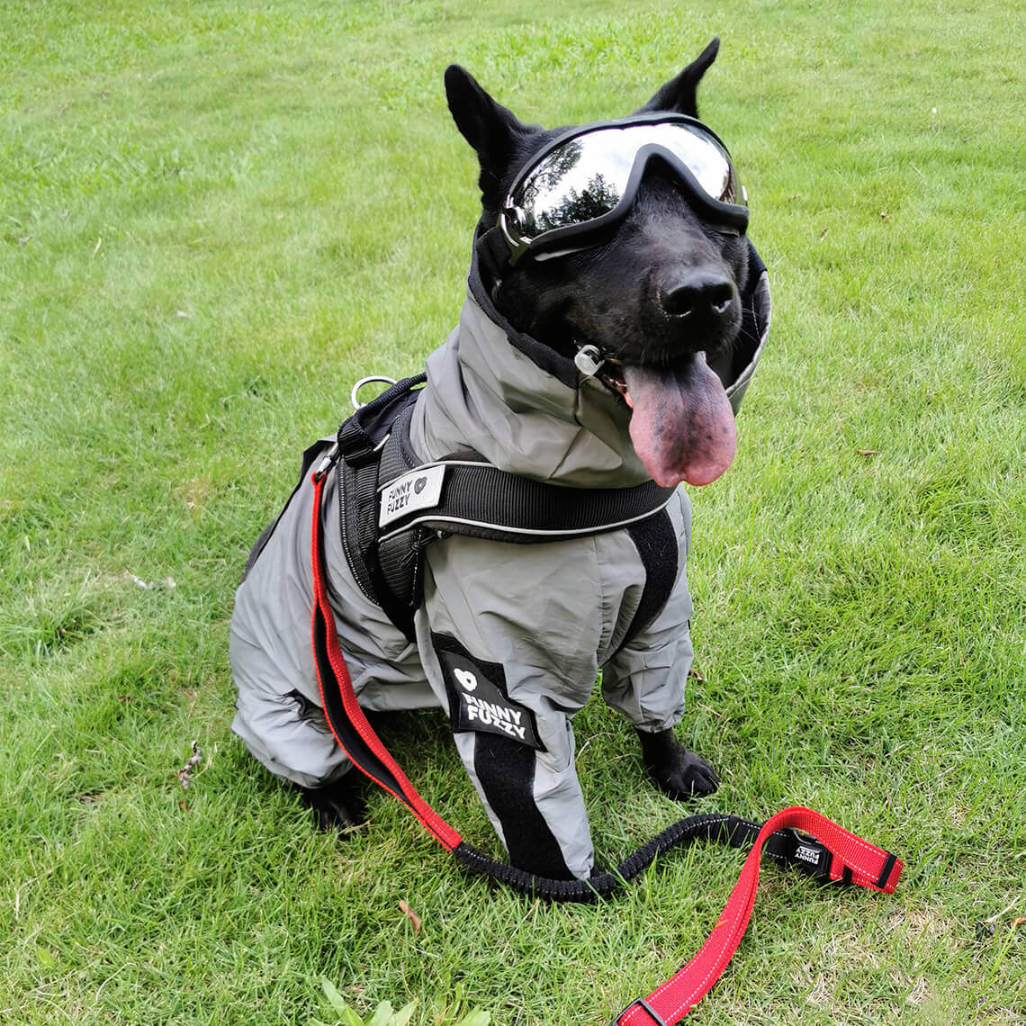 Manteau de pluie réfléchissant imperméable à l'eau pour tous les temps, accessoires pour chiens frais