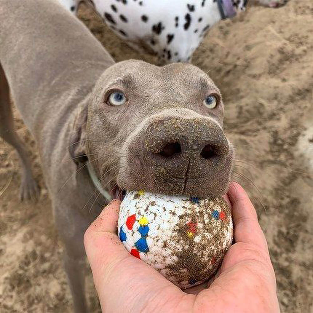 Juguete para perros con pelota de entrenamiento de palomitas de maíz